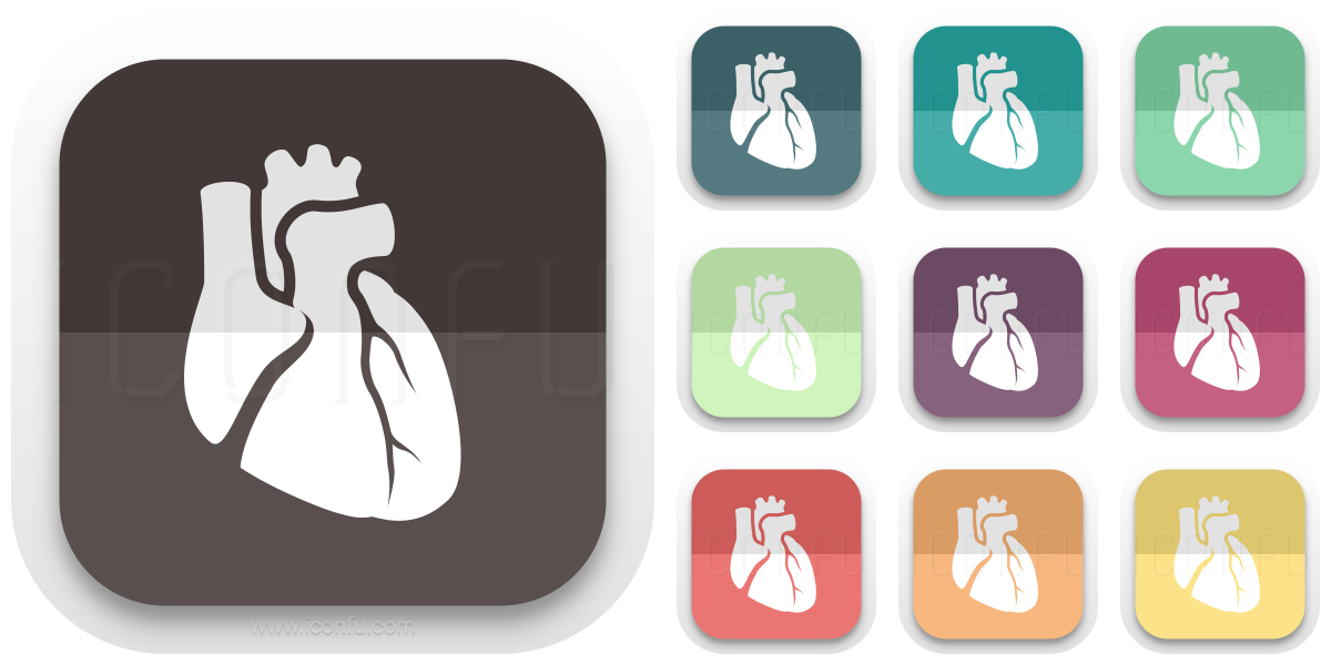 Heart Anatomic Icon - Folded Style - Iconfu